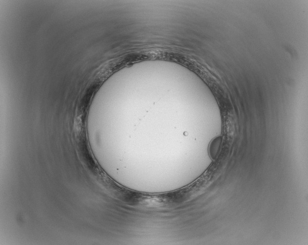 X0000115150611200911171242