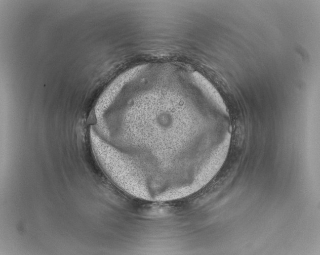 X0000115150612200911171242