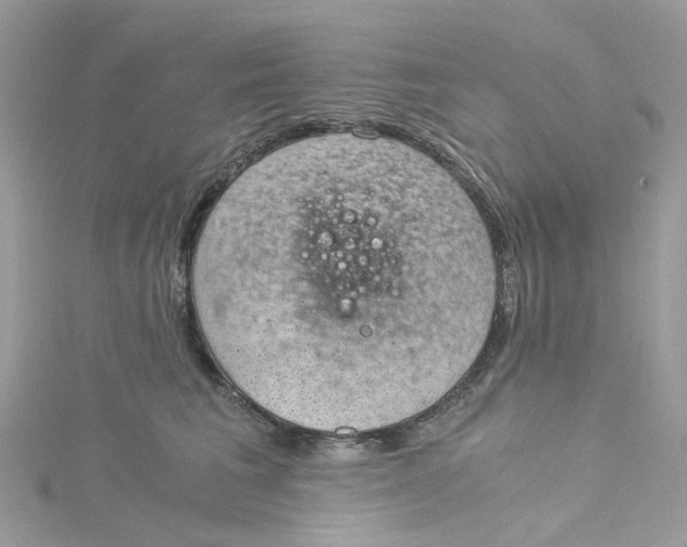 X0000115150613200911171242