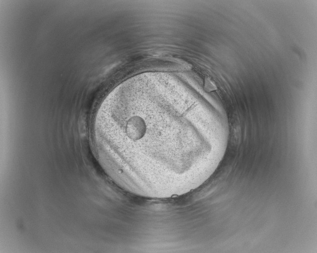 X0000115150620200911171242