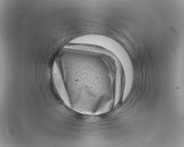 X0000115150621200911171242