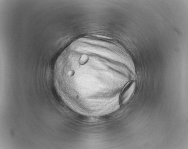 X0000115150623200911171242