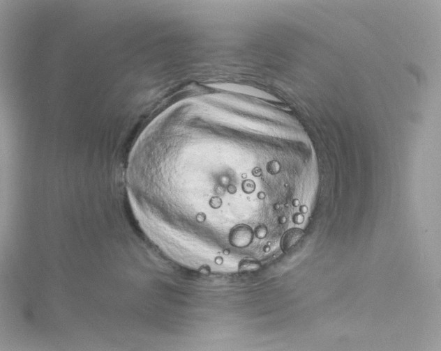 X0000115150624200911171242