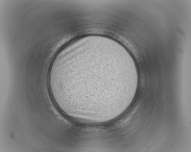 X0000115150625200911171241