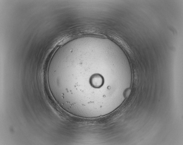 X0000115150626200911171241