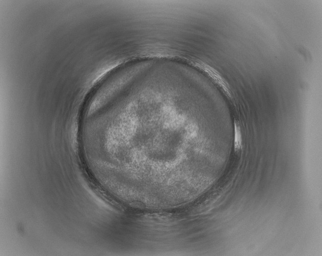 X0000115150627200911171241