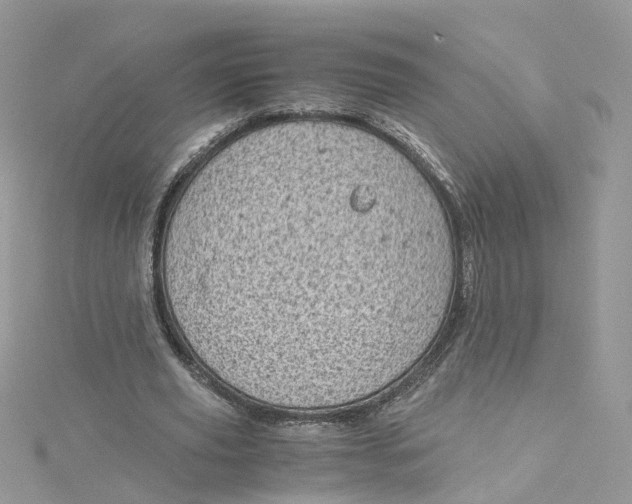 X0000115150629200911171241