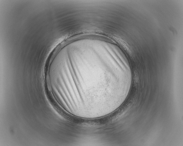 X0000115150630200911171241