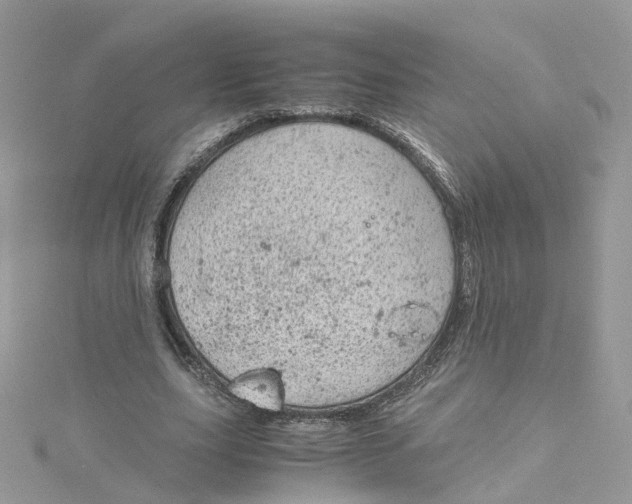 X0000115150631200911171241