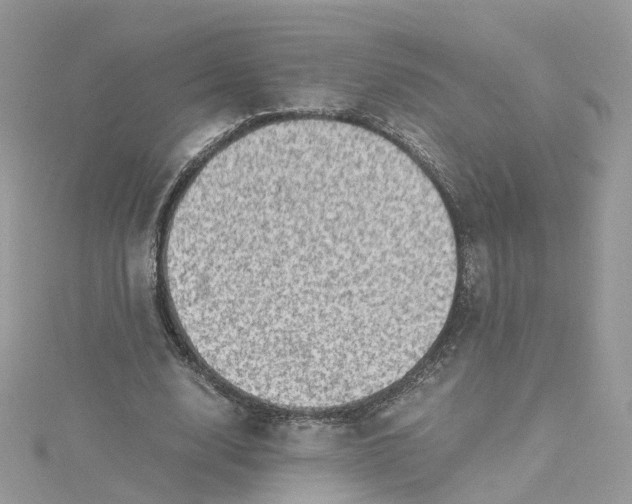 X0000115150632200911171241