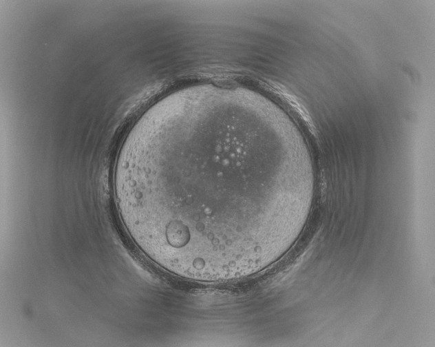 X0000115150633200911171241