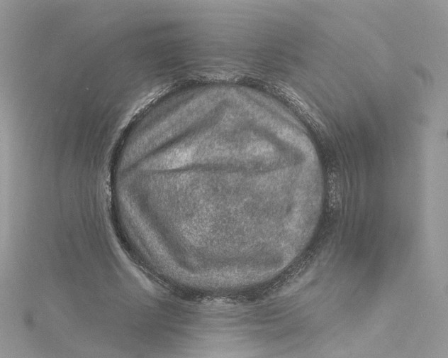 X0000115150634200911171241