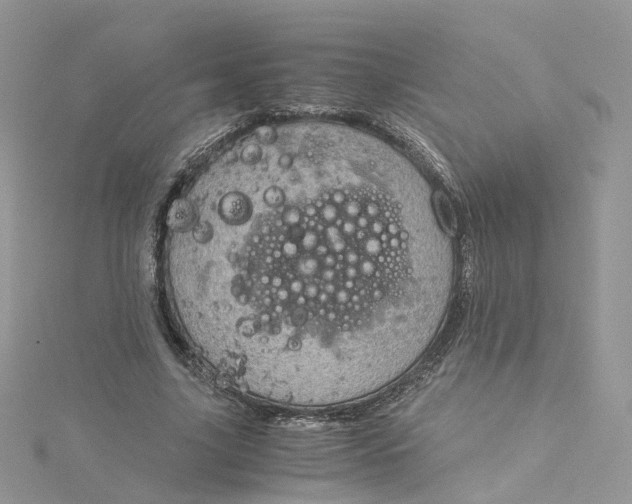 X0000115150635200911171241