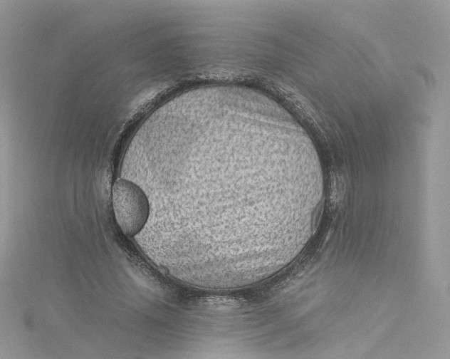 X0000115150636200911171242