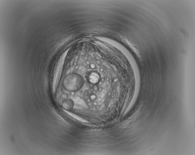 X0000115150637200911171242