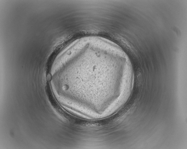 X0000115150638200911171242