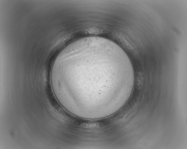 X0000115150639200911171242