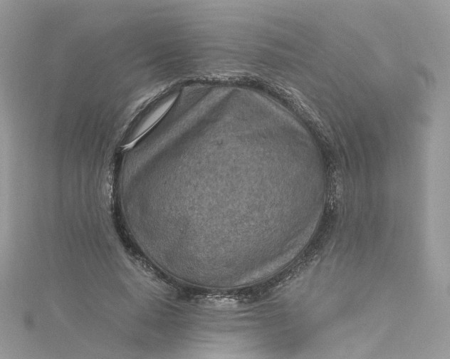 X0000115150640200911171242