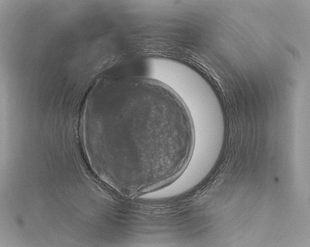 X0000115150641200911171242