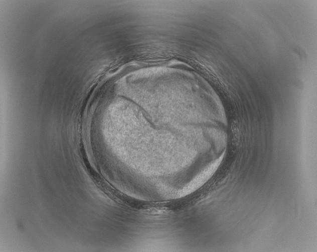 X0000115150642200911171242