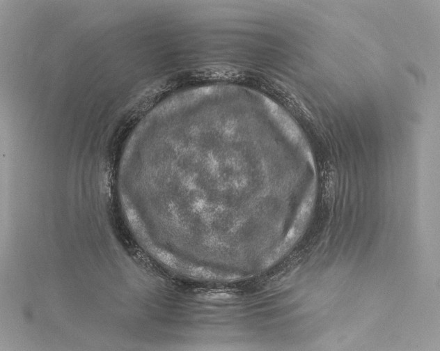 X0000115150643200911171242