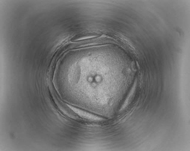 X0000115150644200911171242