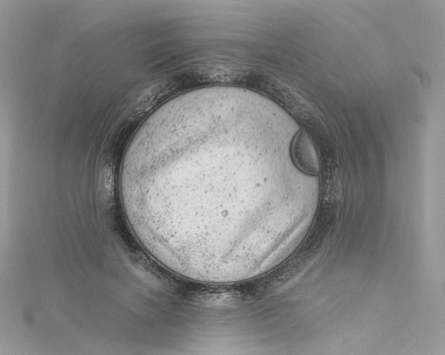 X0000115150646200911171242