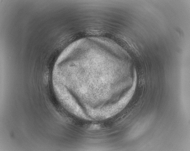 X0000115150647200911171242