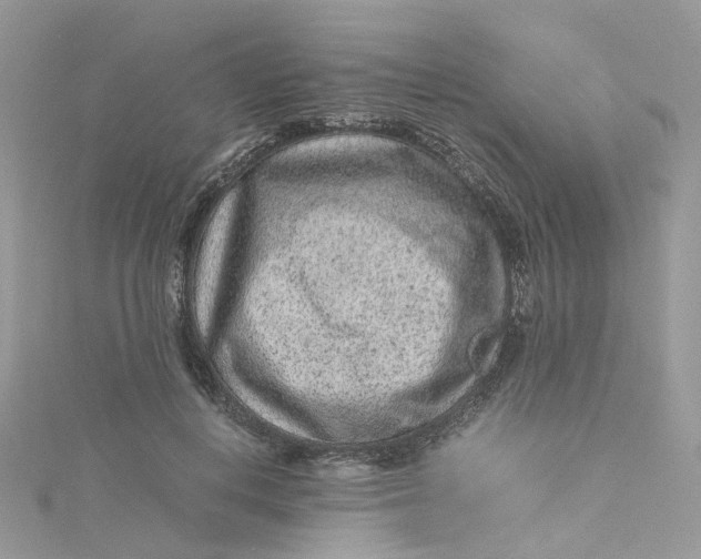 X0000115150648200911171242