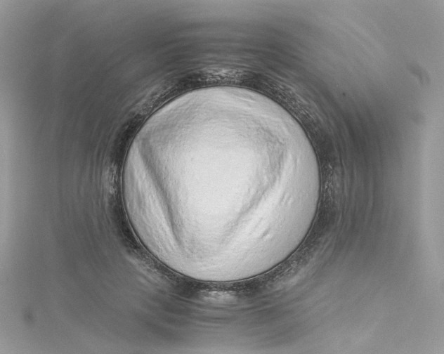 X0000115150649200911171242