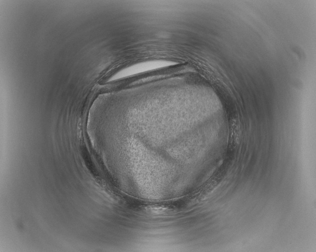 X0000115150650200911171242