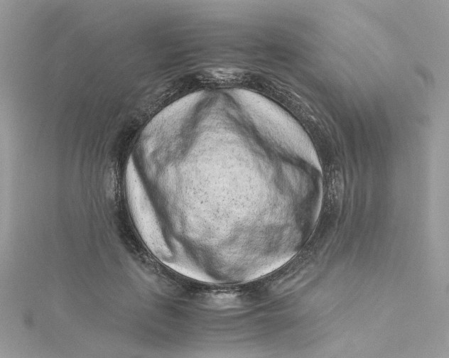 X0000115150651200911171242