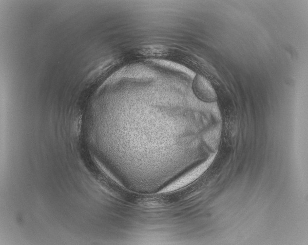 X0000115150652200911171242