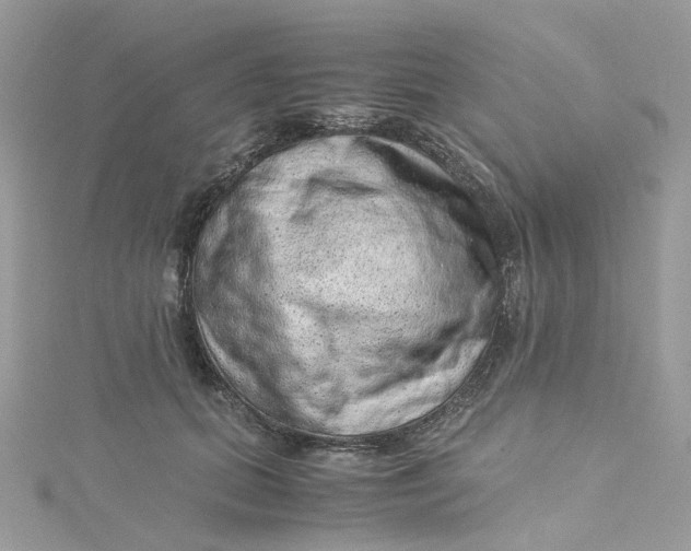 X0000115150655200911171242