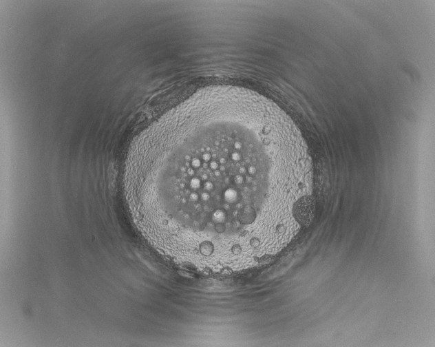 X0000115150660200911171242