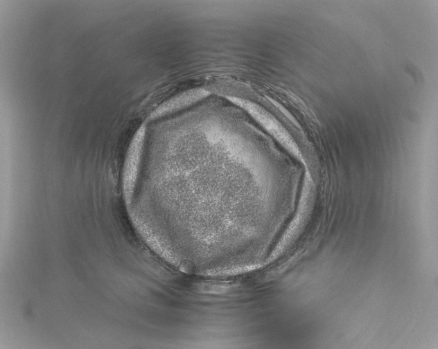 X0000115150661200911171242