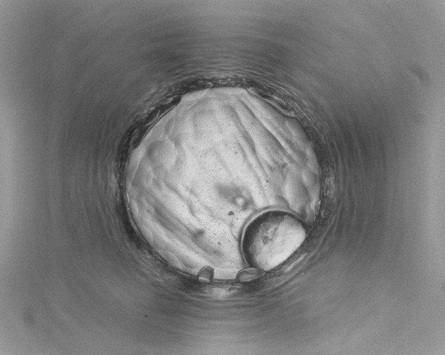 X0000115150662200911171242