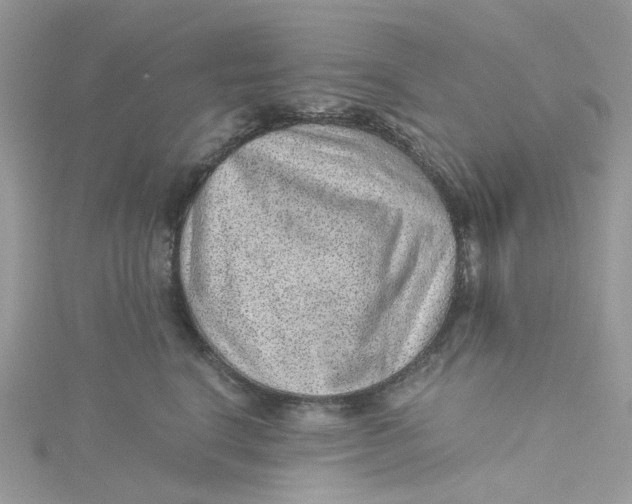 X0000115150664200911171242