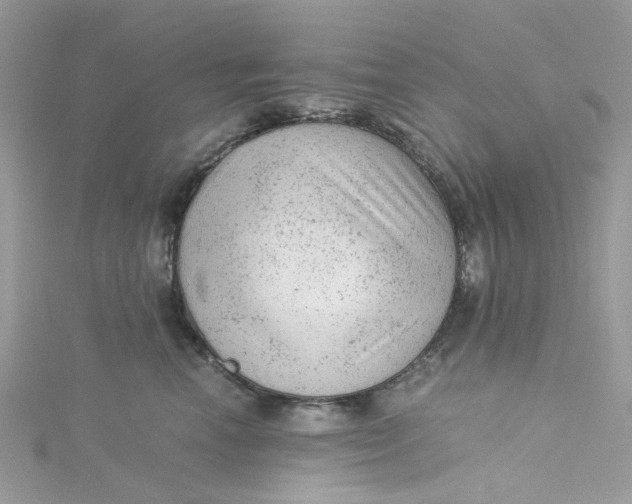 X0000115150666200911171242