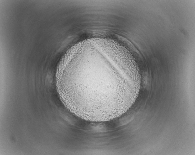 X0000115150667200911171242