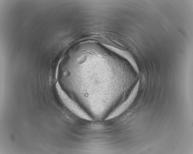 X0000115150668200911171242