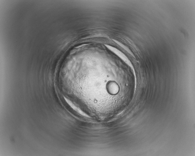 X0000115150669200911171242