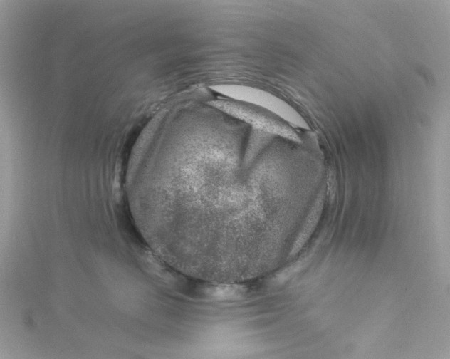 X0000115150670200911171242