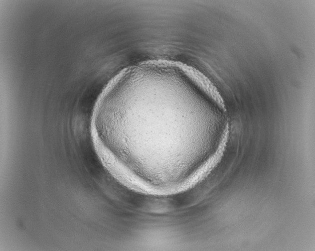 X0000115150671200911171242