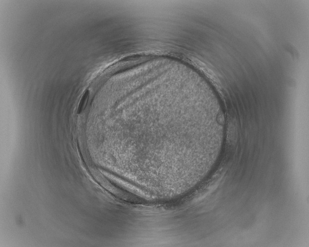 X0000115150673200911171241