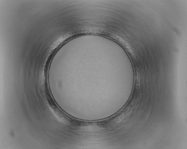 X0000115150674200911171241