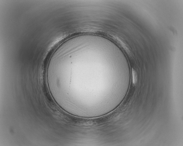 X0000115150675200911171241