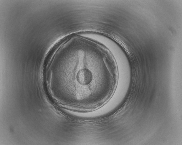 X0000115150676200911171241