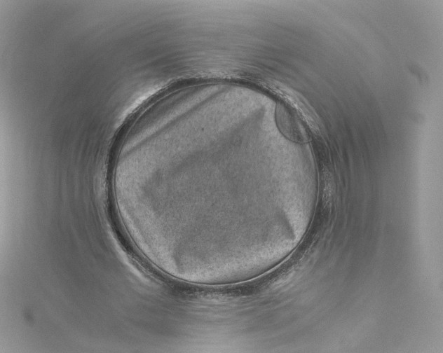 X0000115150677200911171241