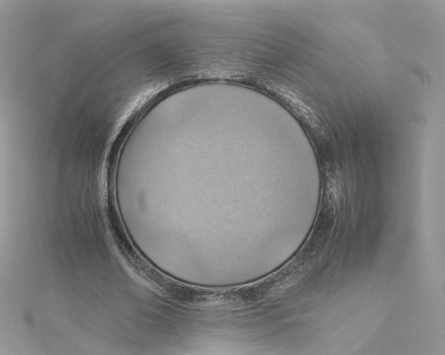 X0000115150678200911171241